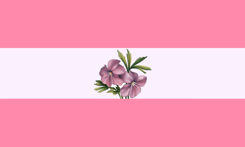 pink and white sapphic flag with intertwined lavender blossoms