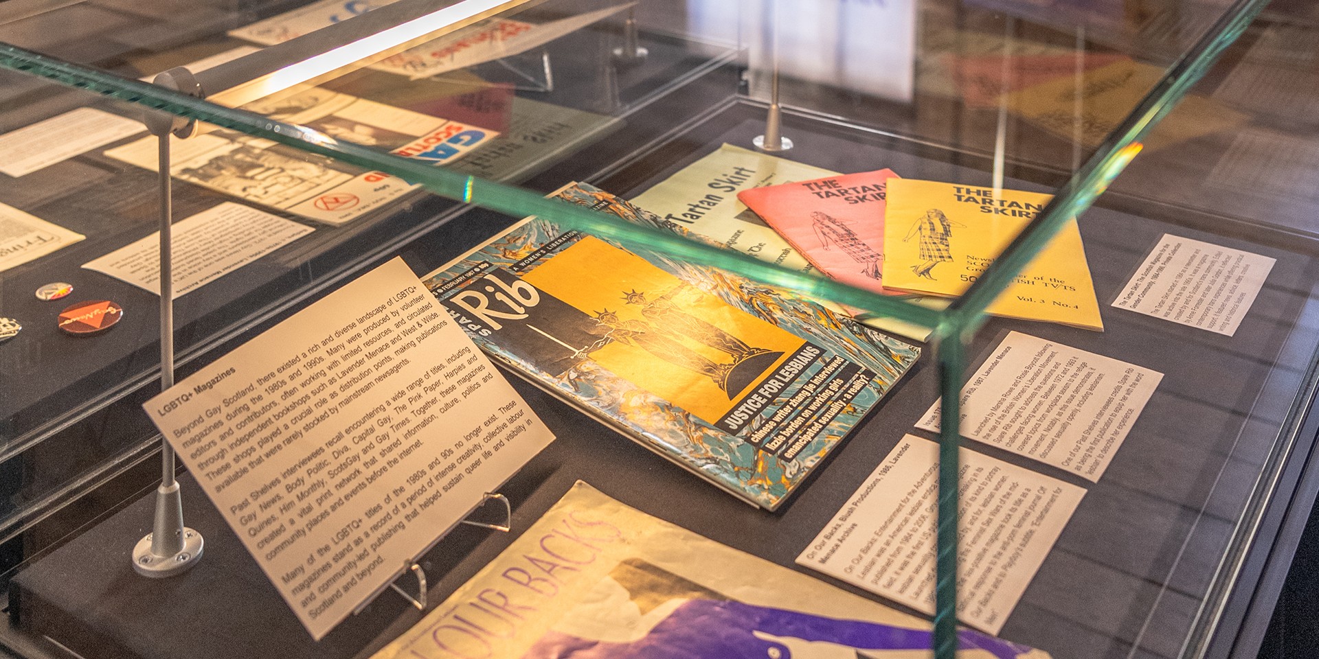 Reflecting on Past Shelves: Histories of Queer Reading